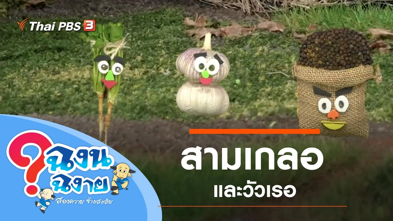 สามเกลอและวัวเรอ