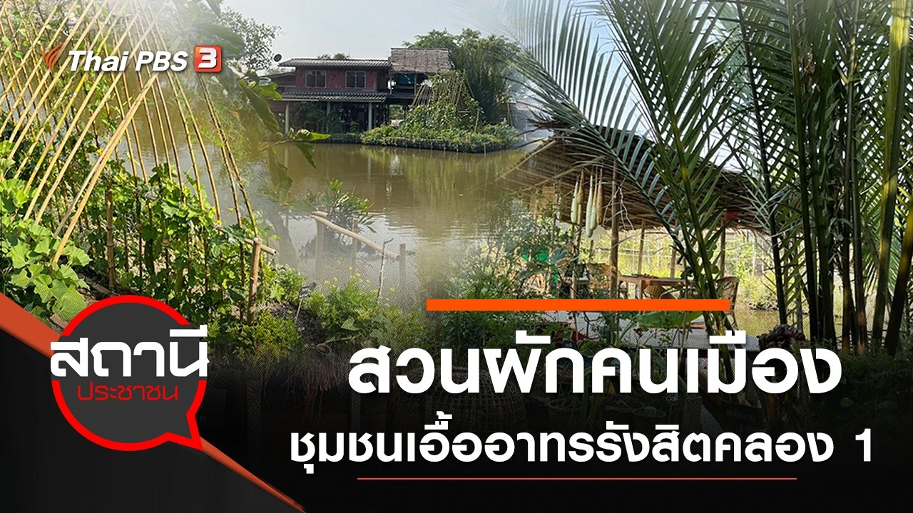 สวนผักคนเมือง "ชุมชนเอื้ออาทรรังสิตคลอง 1" จ.ปทุมธานี
