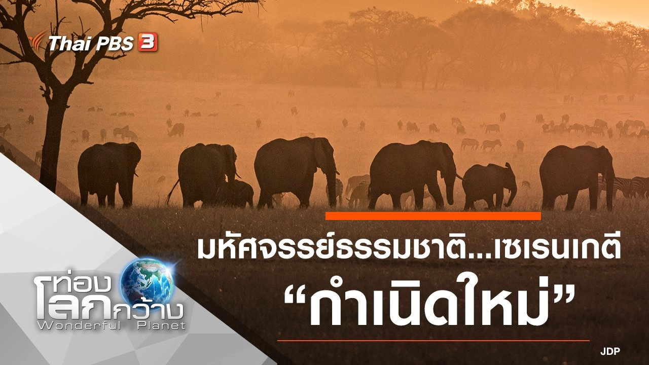 มหัศจรรย์ธรรมชาติ...เซเรนเกตี ตอน กำเนิดใหม่