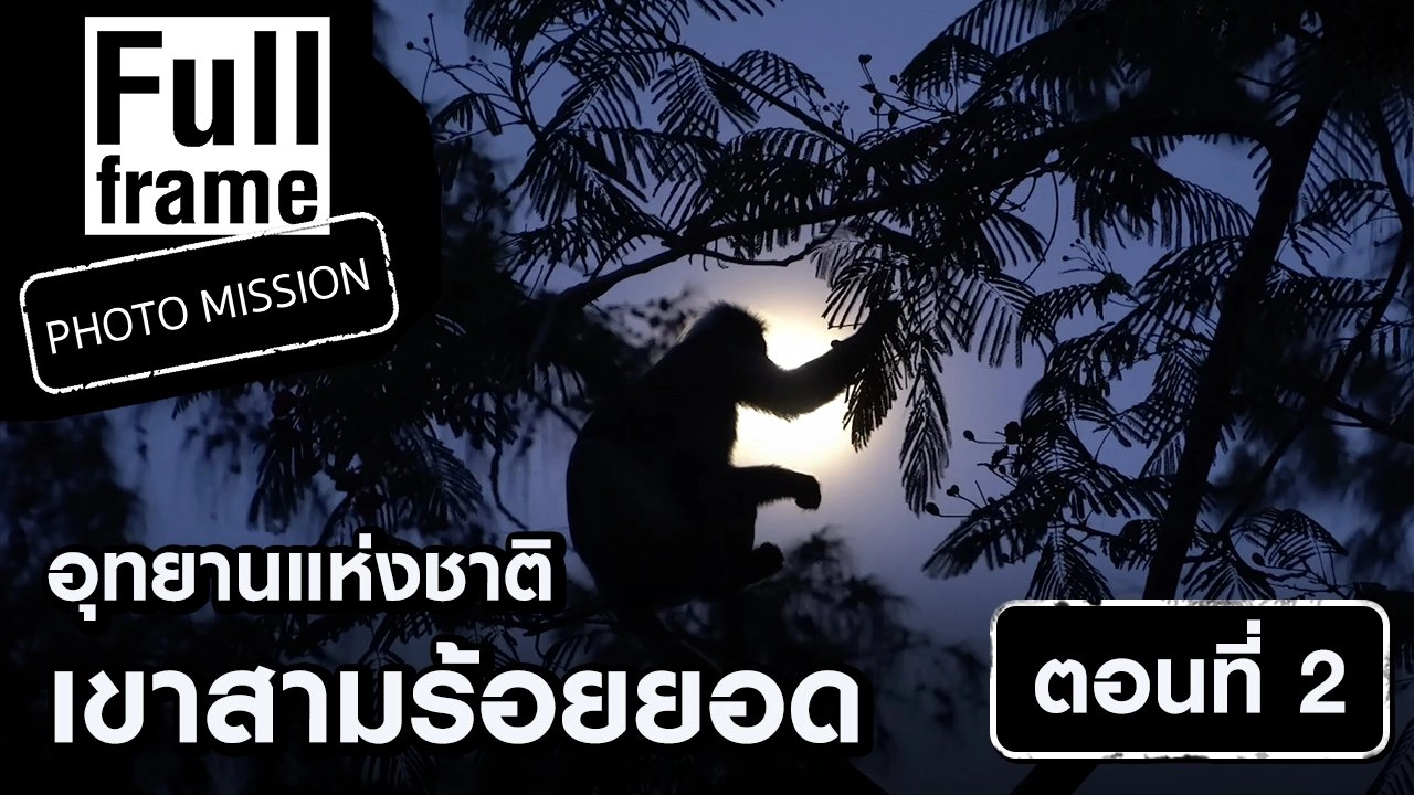 อุทยานแห่งชาติเขาสามร้อยยอด ตอนที่ 2