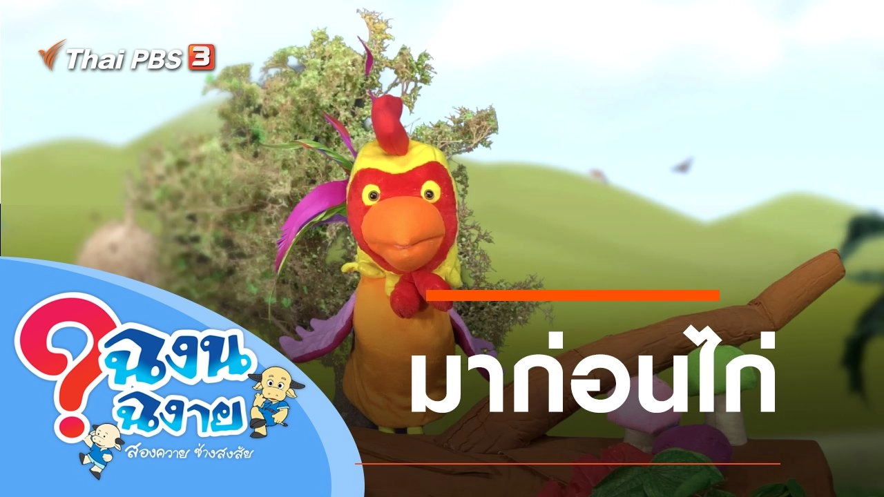 ฉงน ฉงาย สองควายช่างสงสัย