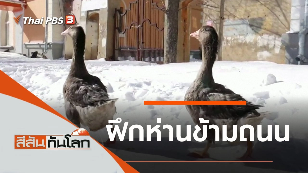 ประเด็นข่าว (20 มี.ค. 64)