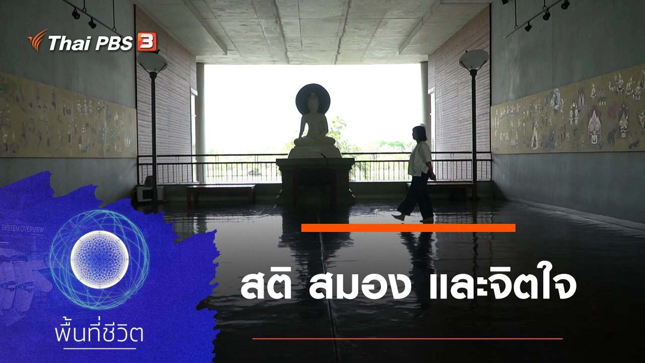 สติ สมอง และจิตใจ