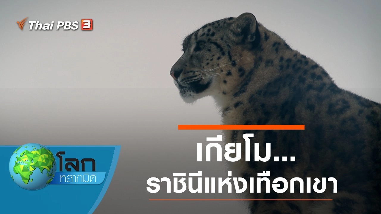 เกียโม... ราชินีแห่งเทือกเขา