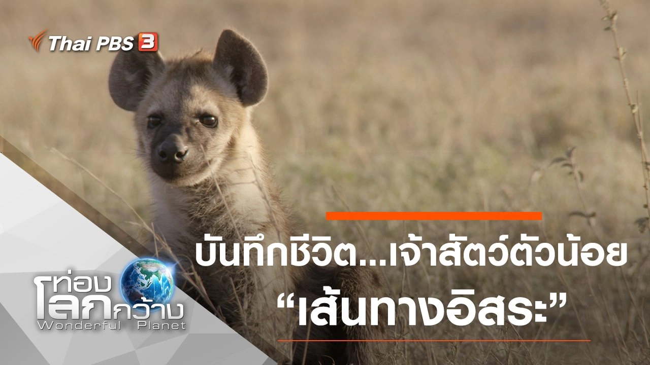 บันทึกชีวิต...เจ้าสัตว์ตัวน้อย ตอน เส้นทางอิสระ