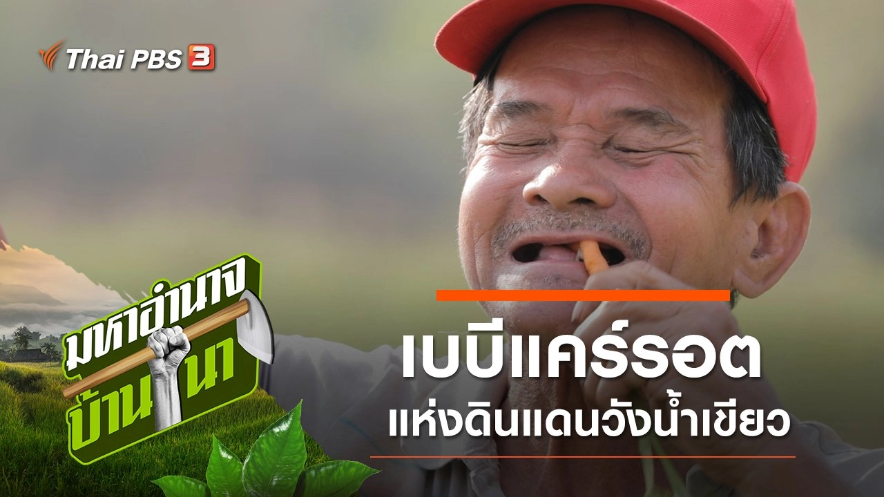 เบบีแคร์รอต แห่งดินแดนวังน้ำเขียว