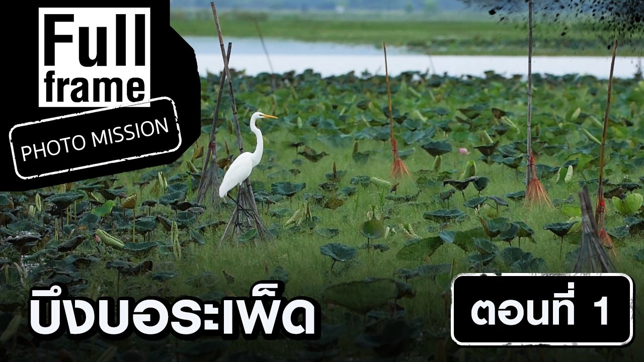บึงบอระเพ็ด ตอนที่ 1