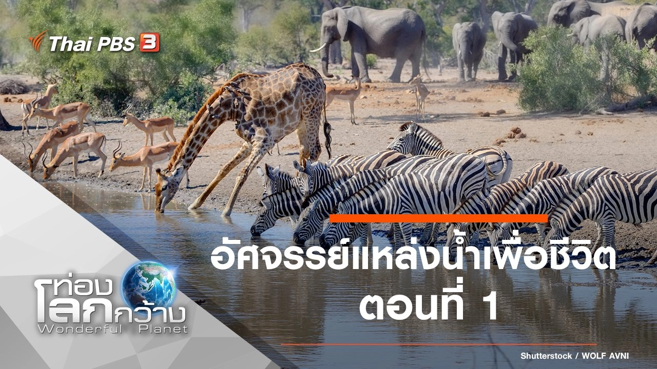 อัศจรรย์แหล่งน้ำเพื่อชีวิต ตอนที่ 1