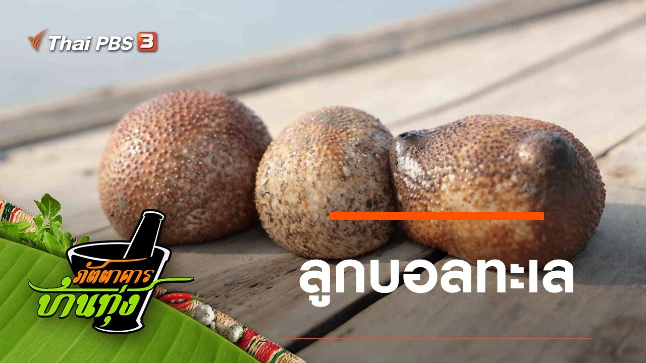 ลูกบอลทะเล