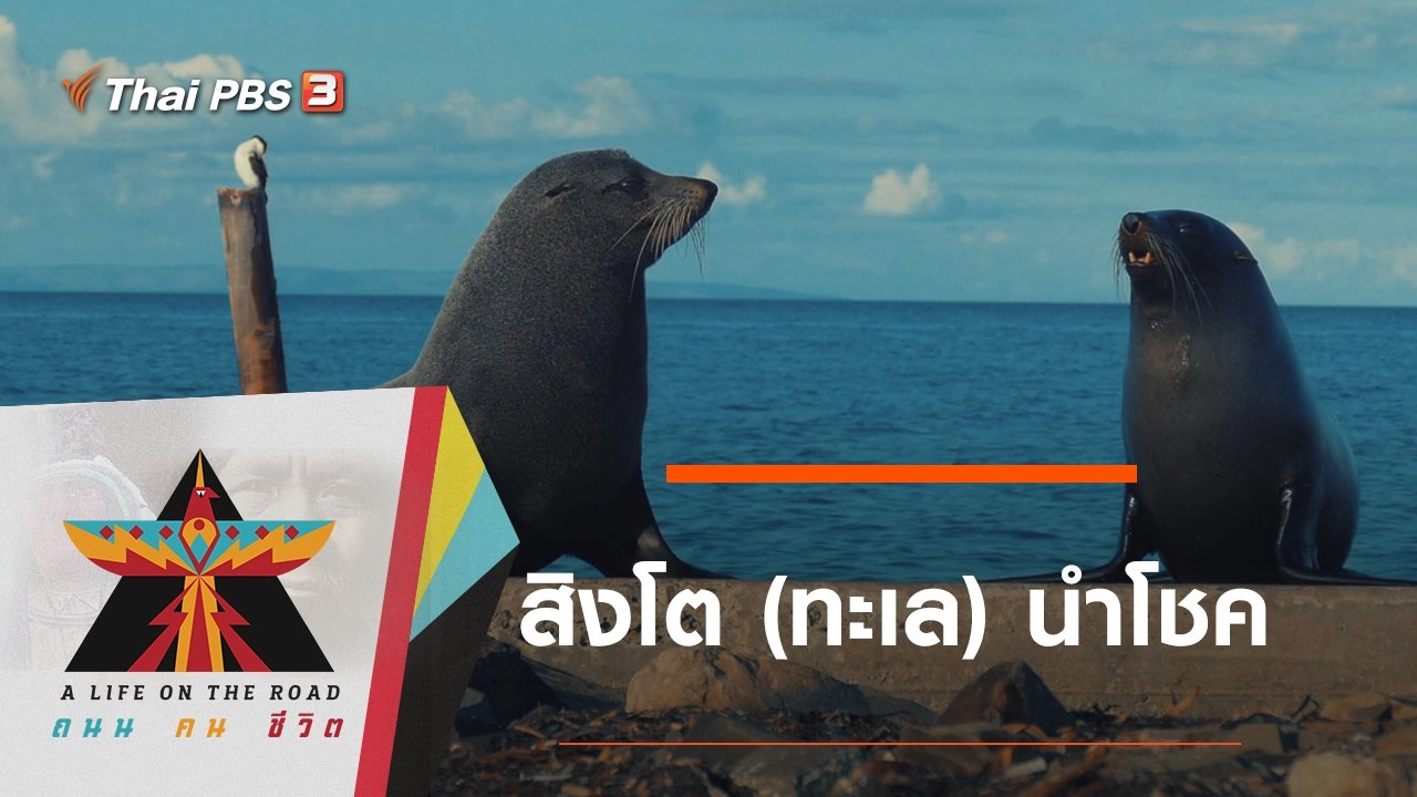 สิงโต (ทะเล) นำโชค