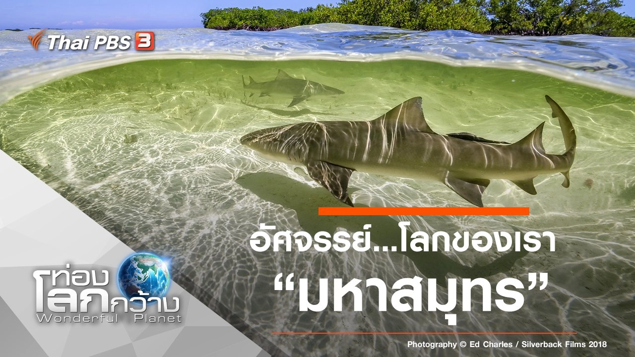 อัศจรรย์...โลกของเรา ตอน มหาสมุทร
