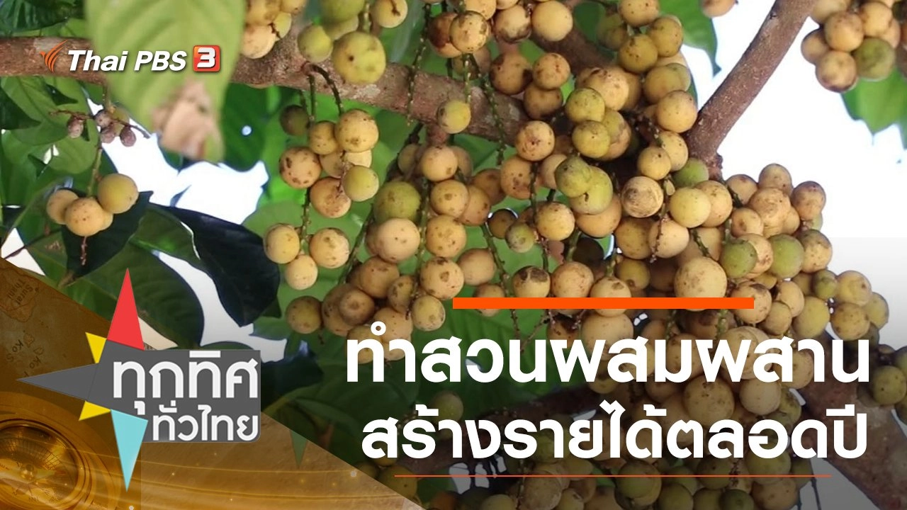 ทำสวนผสมผสานสร้างรายได้ตลอดปี