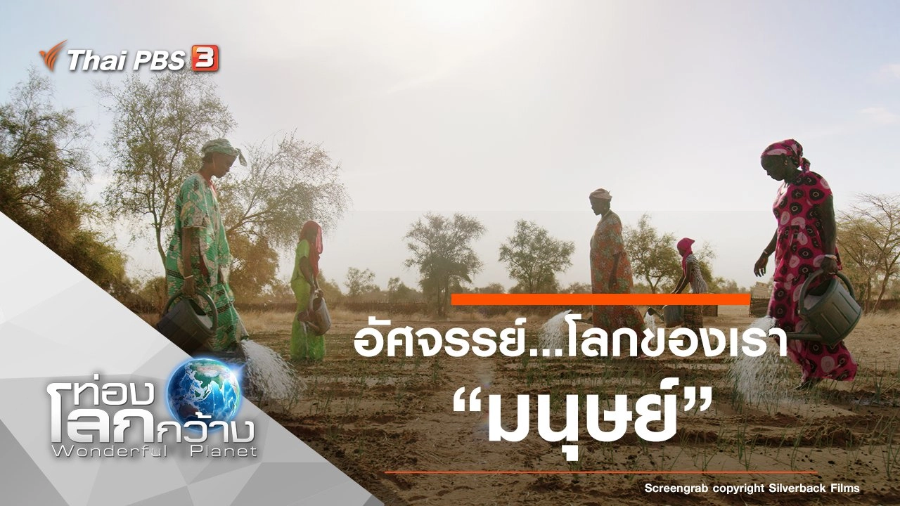 อัศจรรย์...โลกของเรา ตอน มนุษย์