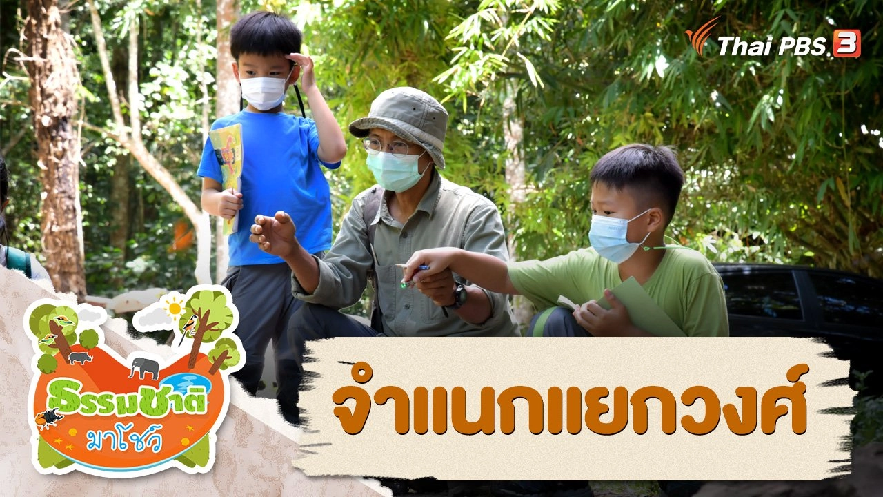 จำแนกแยกวงศ์