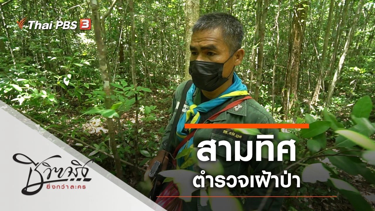 สามทิศ ตำรวจเฝ้าป่า