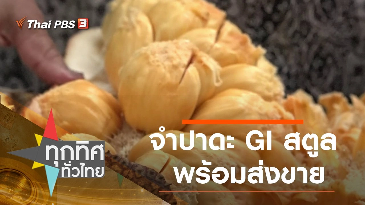 จำปาดะ GI สตูล พร้อมส่งขาย