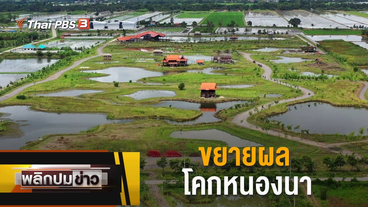 ขยายผลโคกหนองนา