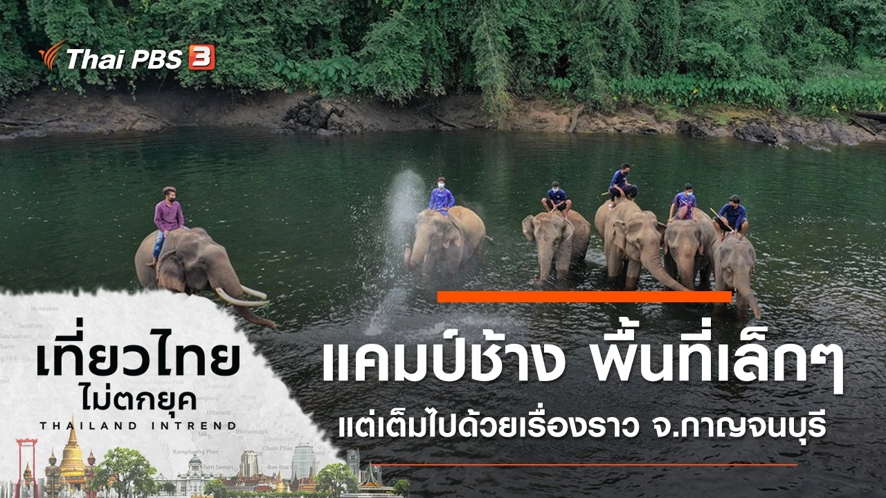 แคมป์ช้าง พื้นที่เล็กๆ แต่เต็มไปด้วยเรื่องราวที่ยิ่งใหญ่ อ.เมือง จ.กาญจนบุรี