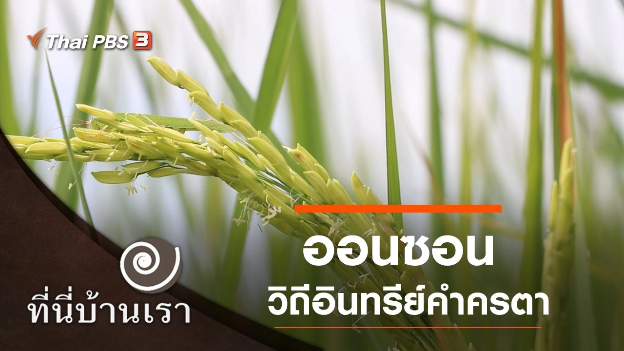 ออนซอน วิถีอินทรีย์คำครตา