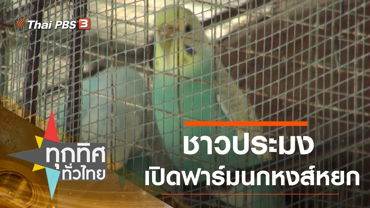 ทุกทิศทั่วไทย