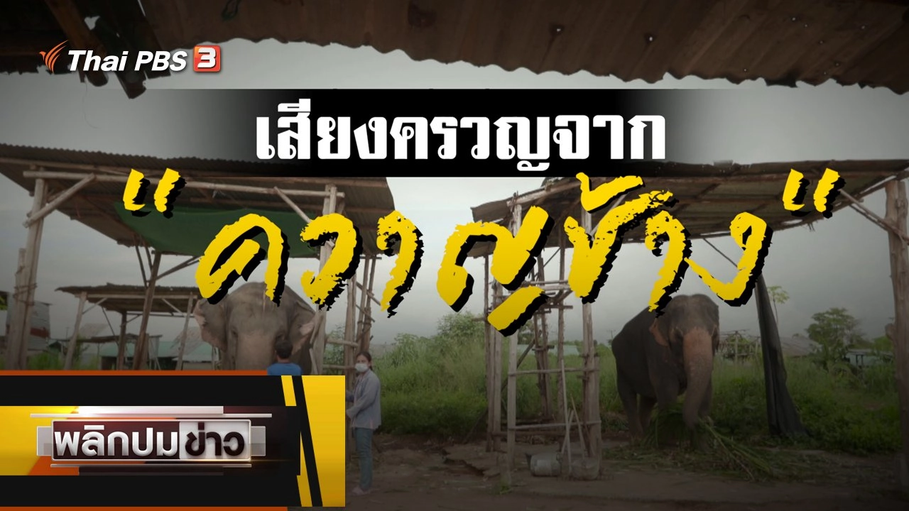 ​เสียงครวญจาก "ควาญช้าง"