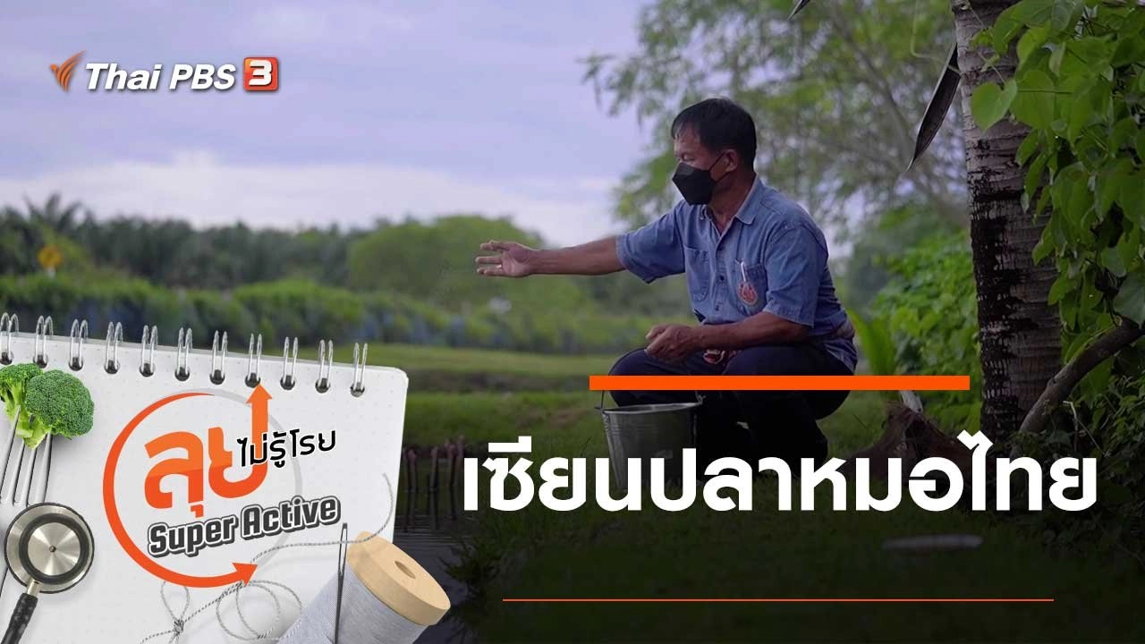 เซียนปลาหมอไทย