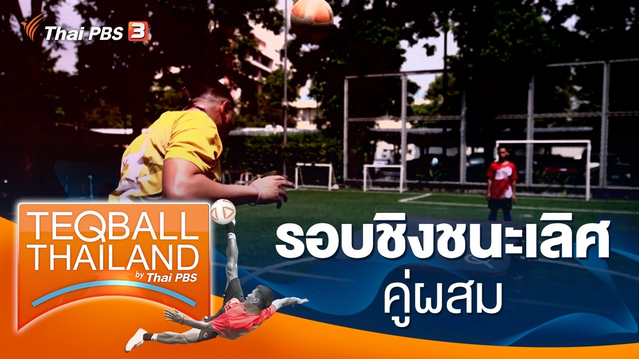 รอบชิงชนะเลิศ คู่ผสม