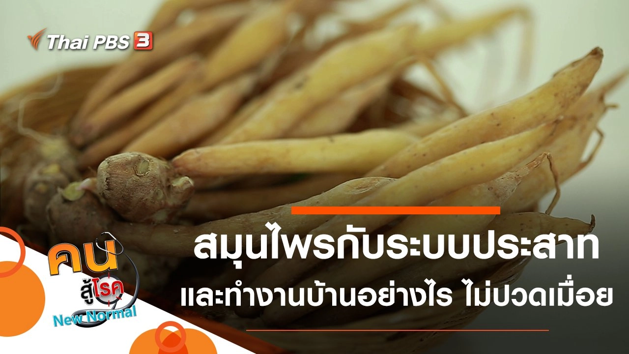 สมุนไพรกับระบบประสาท, ทำงานบ้านอย่างไร ไม่ให้ปวดเมื่อย