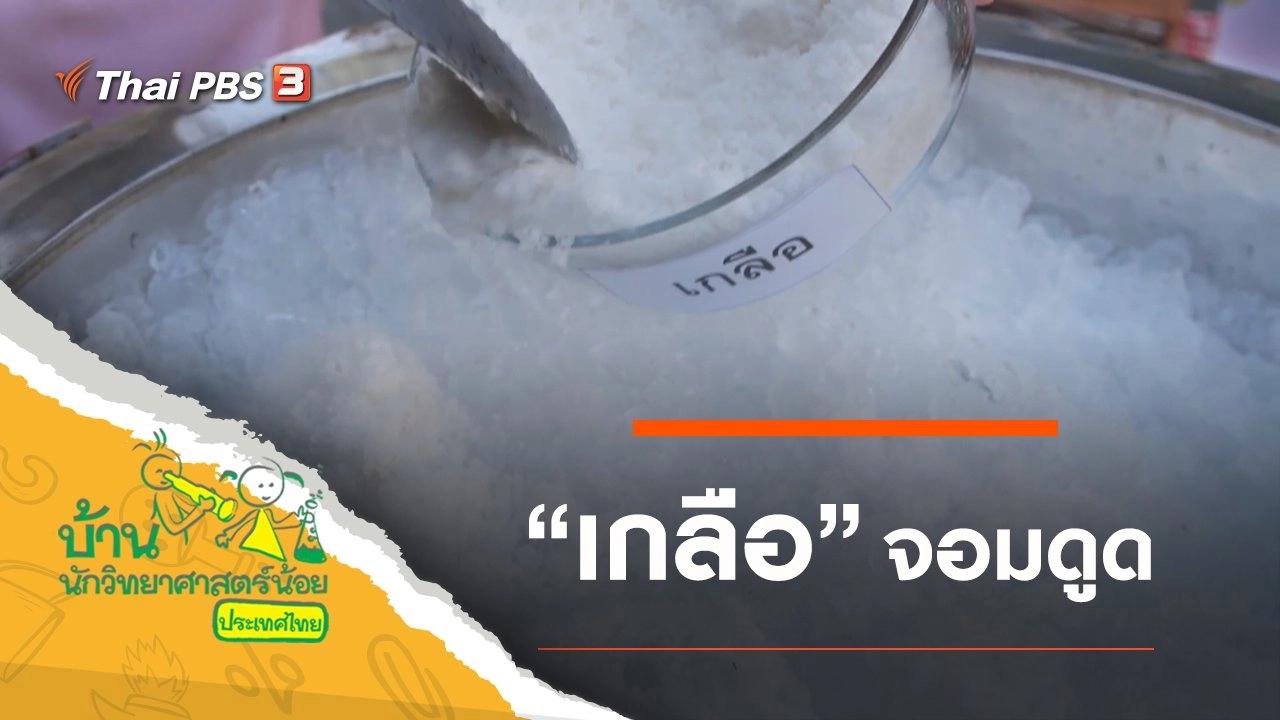 เกลือจอมดูด