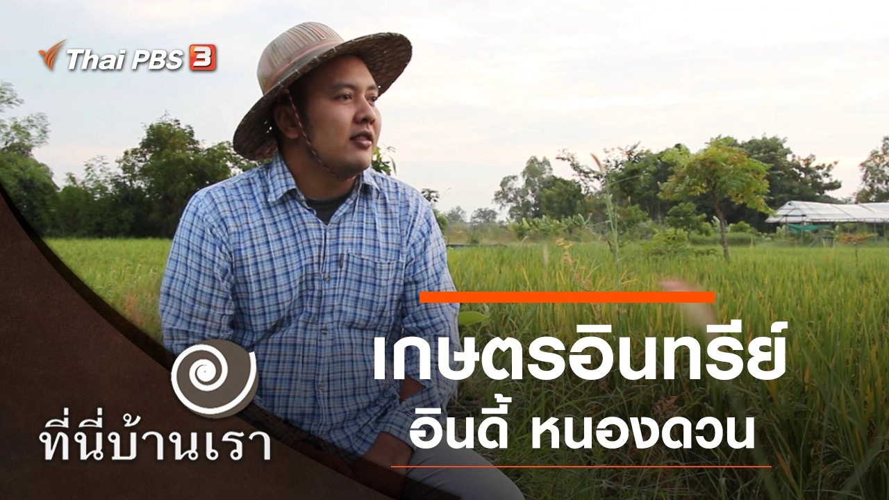 เกษตรอินทรีย์ อินดี้ หนองดวน