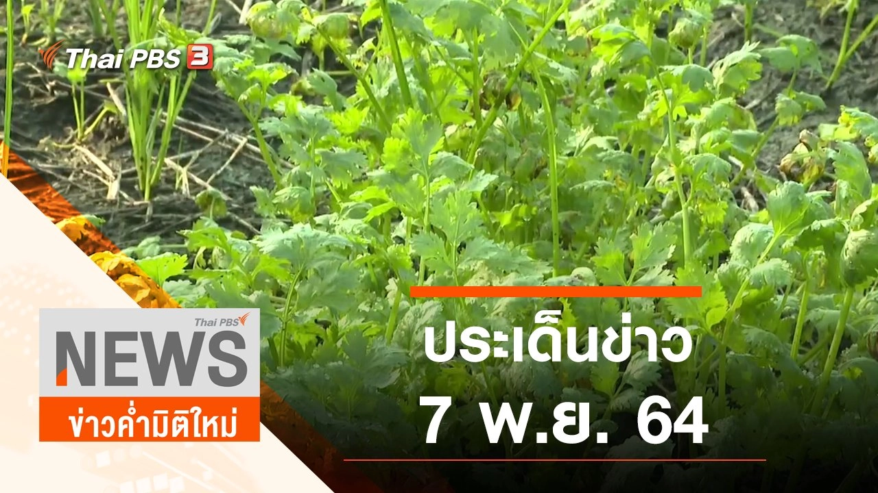 ประเด็นข่าว (7 พ.ย. 64)