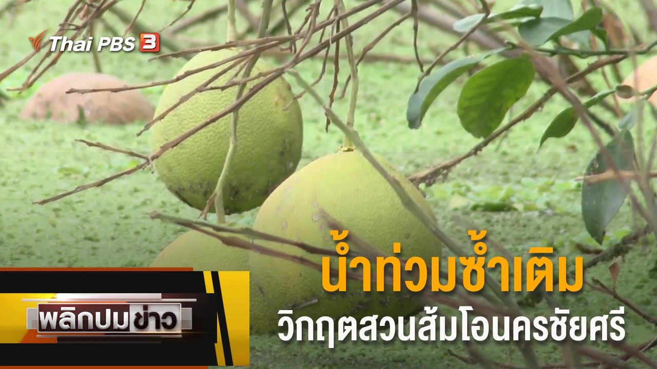 น้ำท่วมซ้ำเติมวิกฤตสวนส้มโอนครชัยศรี