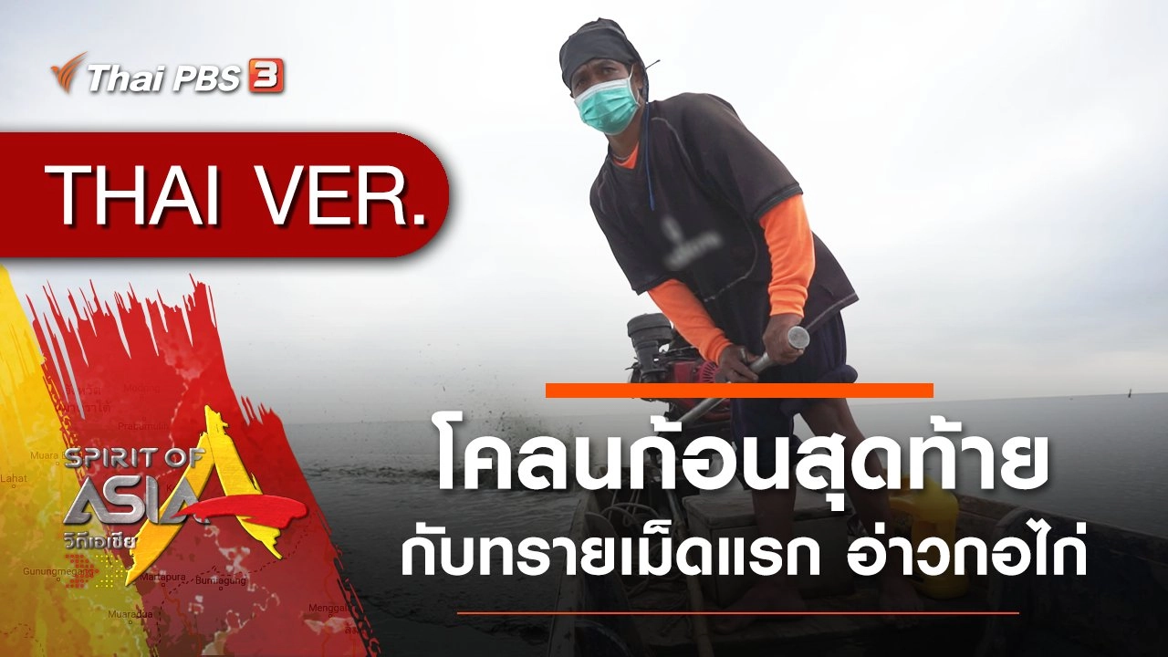 โคลนก้อนสุดท้ายกับทรายเม็ดแรก อ่าวกอไก่