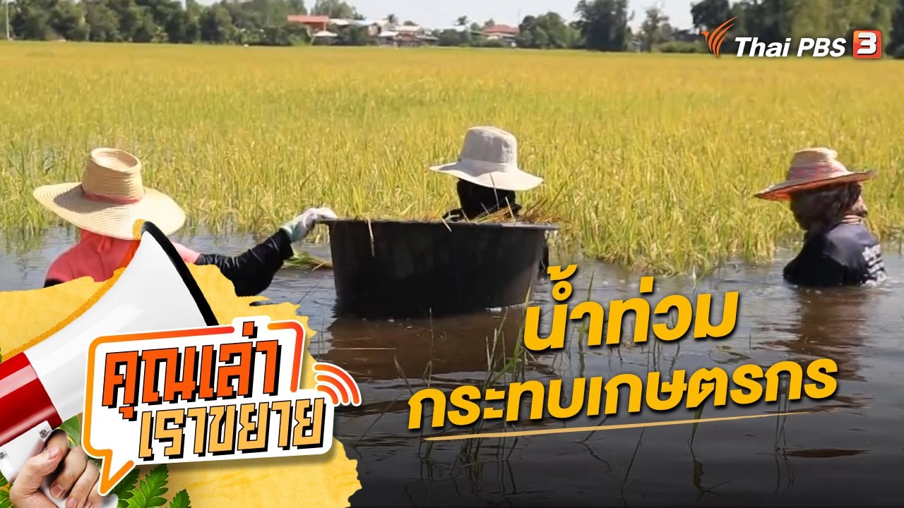 น้ำท่วมกระทบเกษตรกร