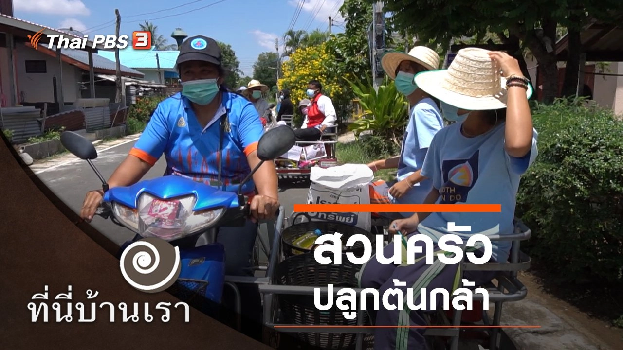 สวนครัวปลูกต้นกล้า