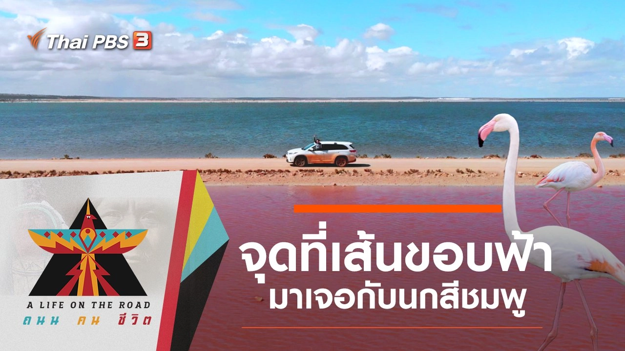 จุดที่เส้นขอบฟ้ามาเจอกับนกสีชมพู