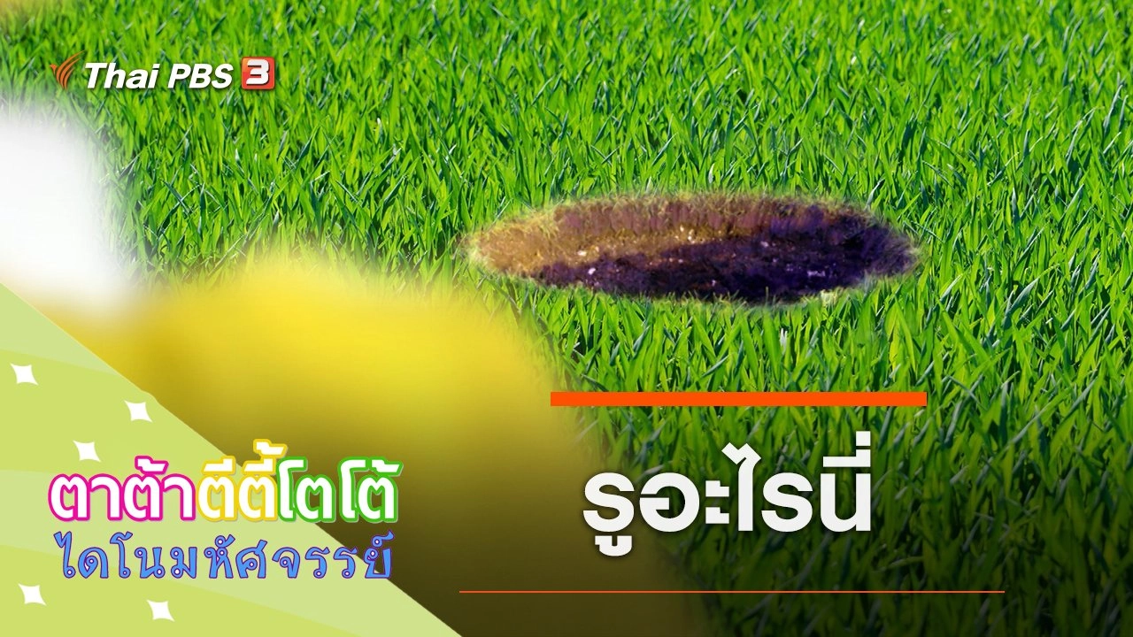 รูอะไรนี่