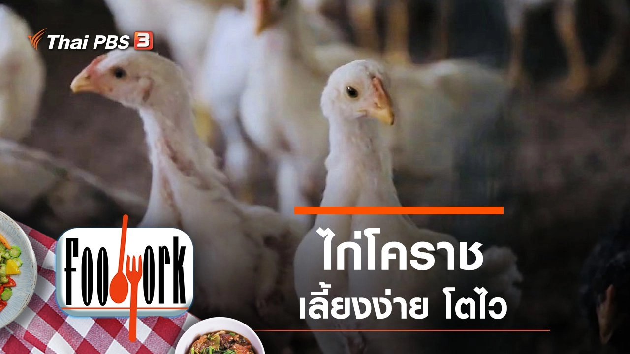 ไก่โคราช
