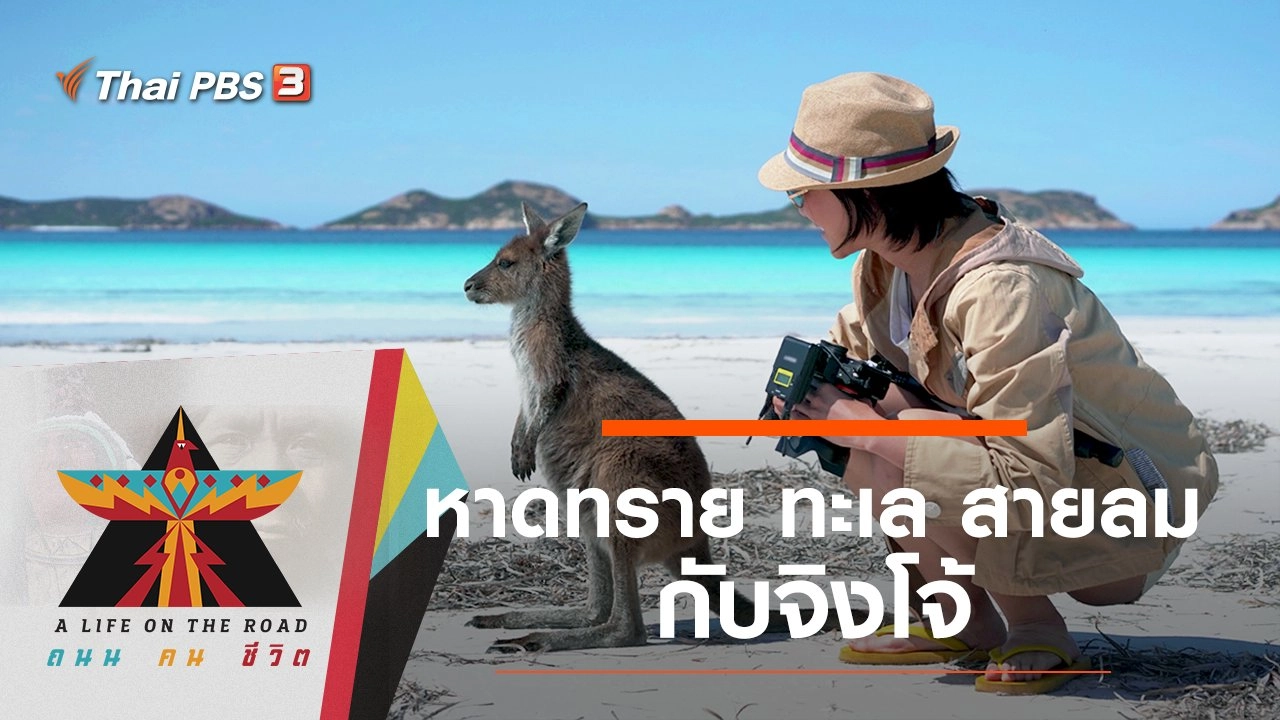 หาดทราย ทะเล สายลม กับจิงโจ้