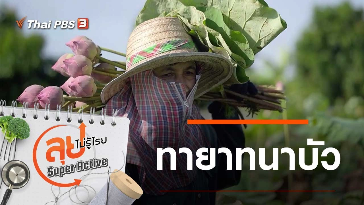 ลุยไม่รู้โรย