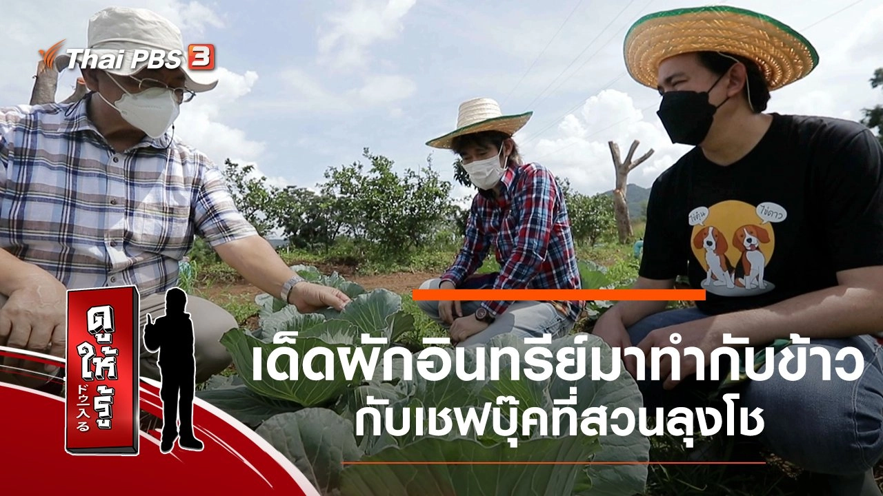 เด็ดผักอินทรีย์มาทำกับข้าว กับเชฟบุ๊คที่สวนลุงโช