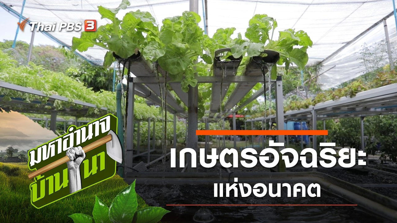 พี่สัมพันธ์ เกษตรอัจฉริยะแห่งอนาคต