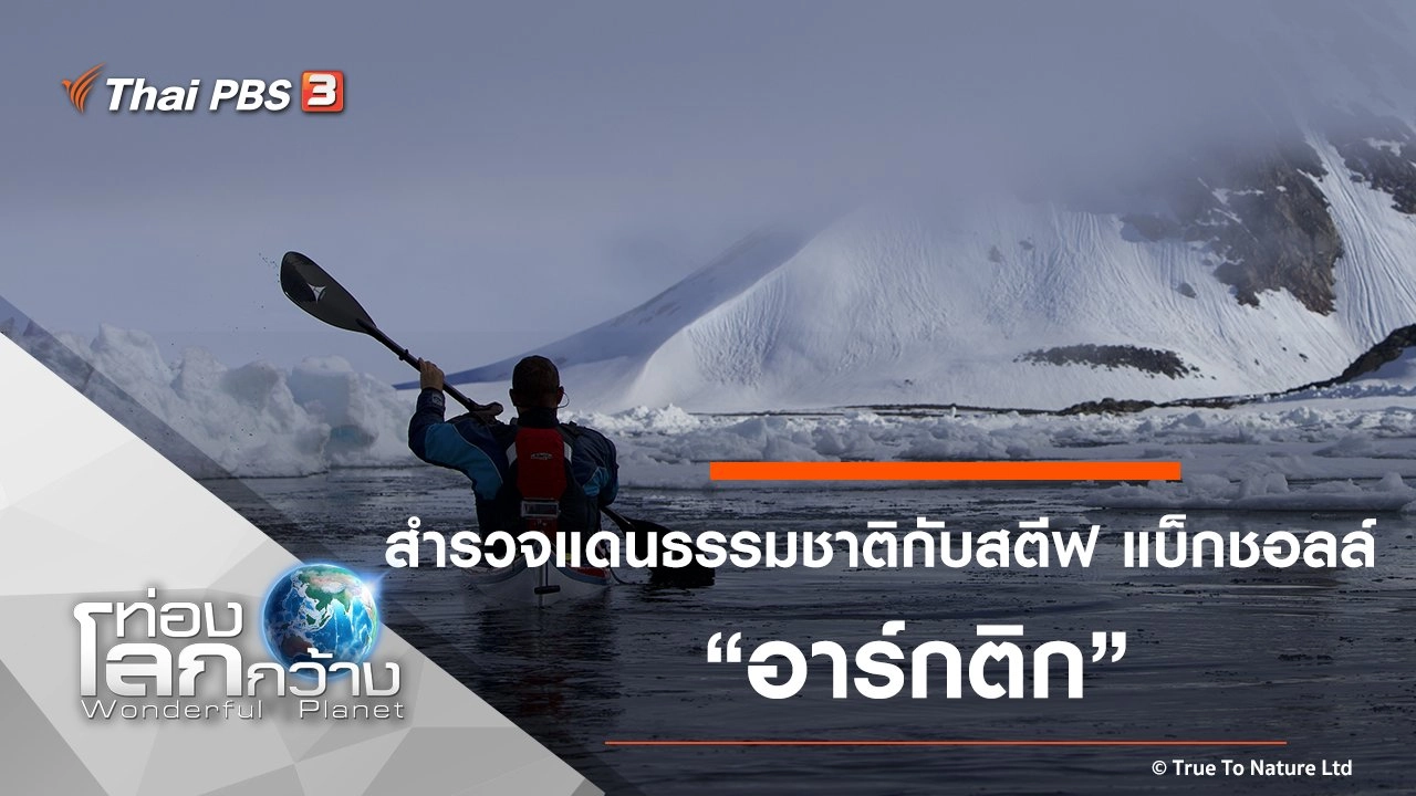 สำรวจแดนธรรมชาติกับสตีฟ แบ็กชอลล์ ตอน อาร์กติก