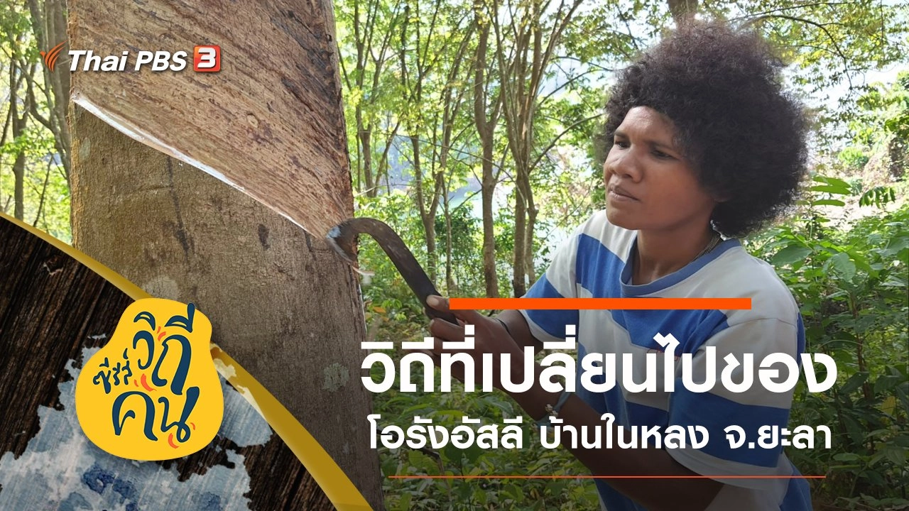 วิถีที่เปลี่ยนไปของโอรังอัสลี บ้านในหลง ต.แม่หวาด อ.ธารโต จ.ยะลา