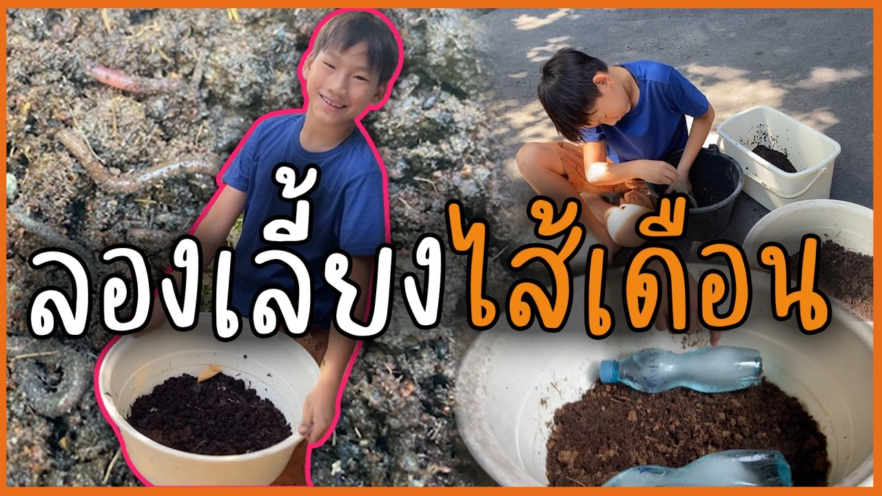 ลองเลี้ยงไส้เดือน