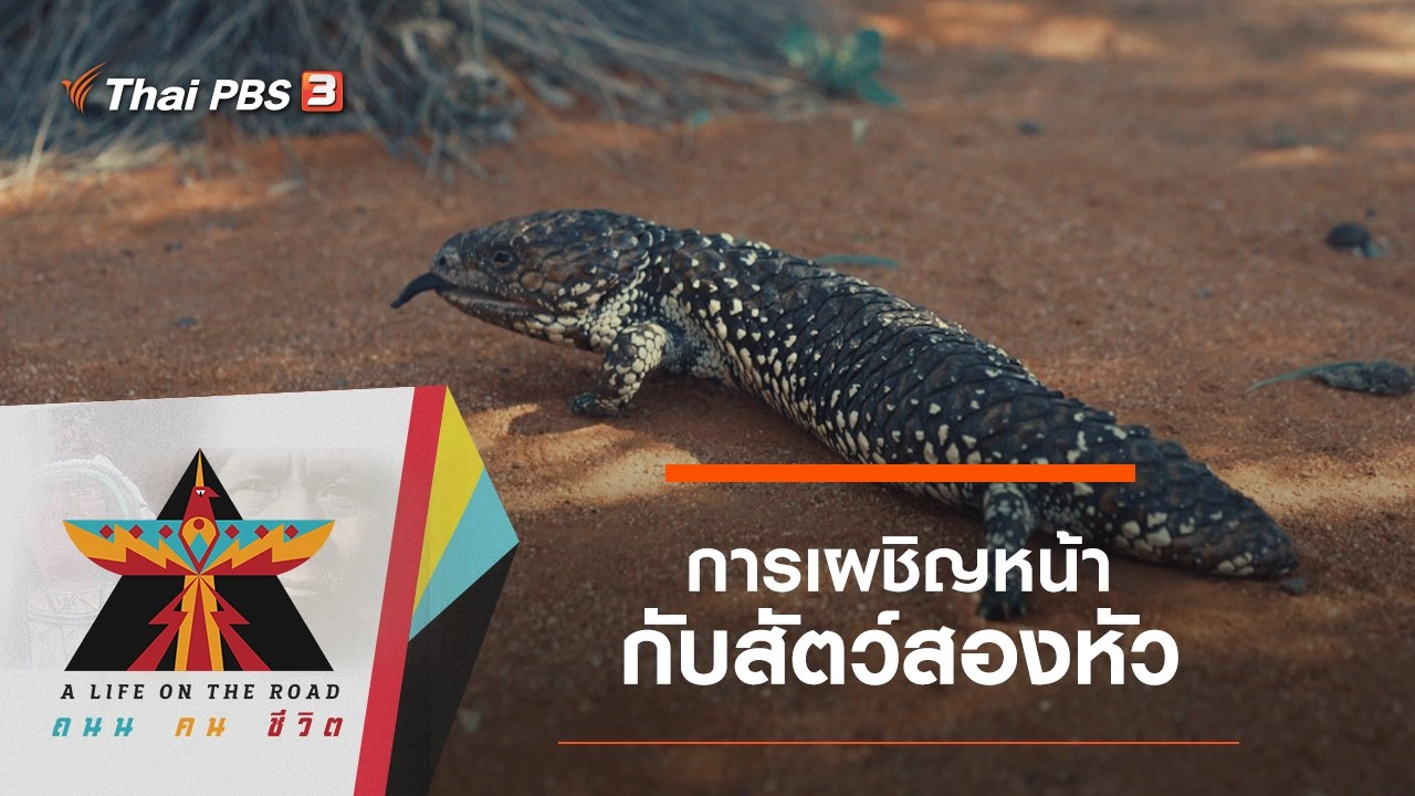 การเผชิญหน้ากับสัตว์สองหัว