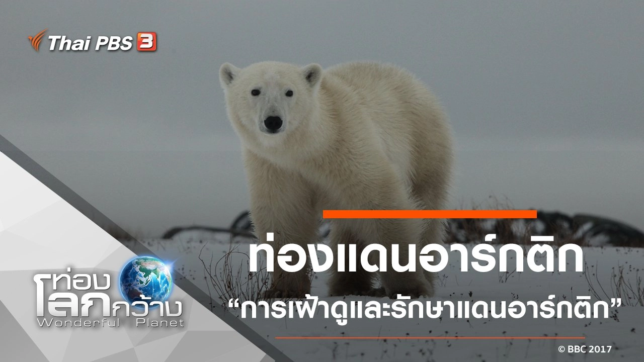 ท่องแดนอาร์กติก ตอน การเฝ้าดูและรักษาแดนอาร์กติก