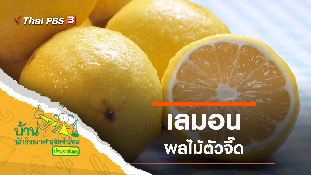 ผลไม้ตัวจี๊ด