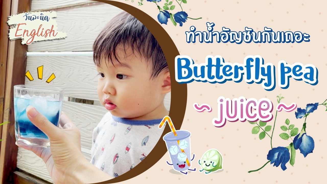 ทำน้ำอัญชันกันเถอะ (Butterfly pea juice)