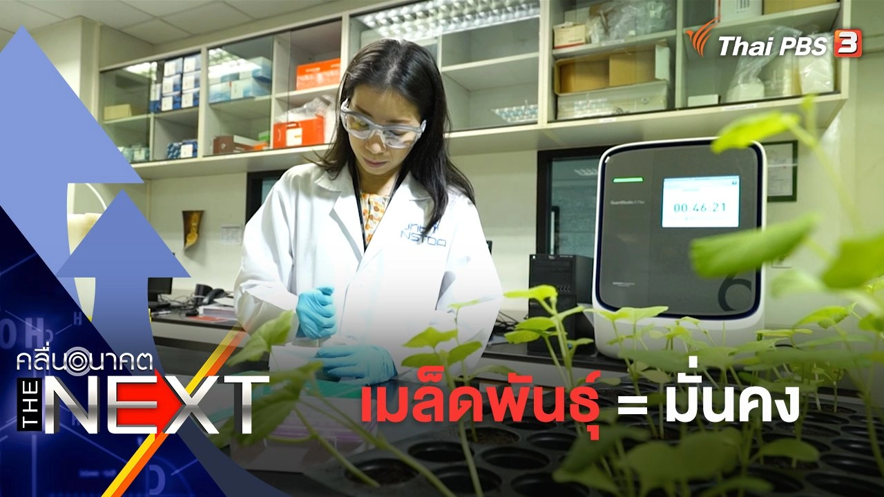 เมล็ดพันธุ์ = มั่นคง